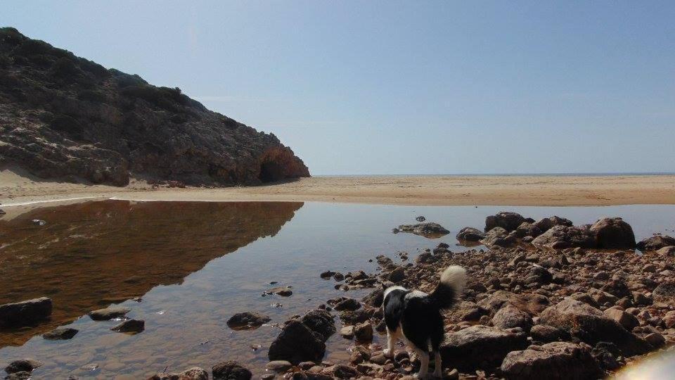 Casa Mestre Vila do Bispo Bagian luar foto